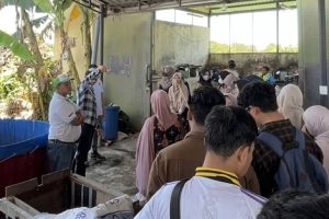PDU banua Anyar 3